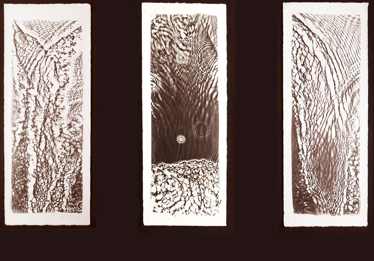 Snowspot Triptych photogram by Remco de Fouw